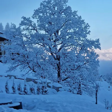 Reinbacher - Primps Schladming