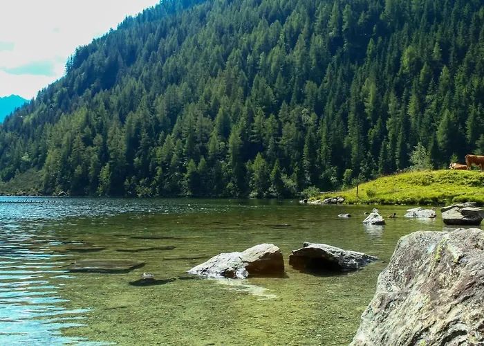 Reinbacher - Primps דירה