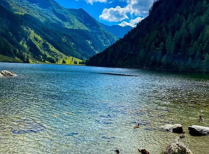 Reinbacher - Primps שלאדמינג