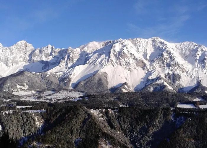 Reinbacher - Primps דירה