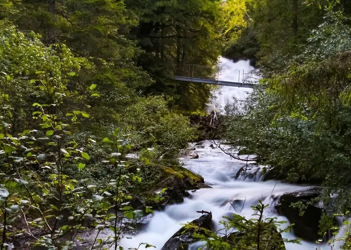 Reinbacher - Primps * Schladming