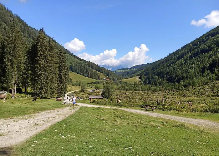 Reinbacher - Primps דירה שלאדמינג