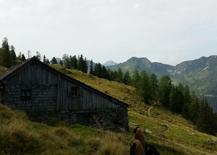 Reinbacher - Primps שלאדמינג