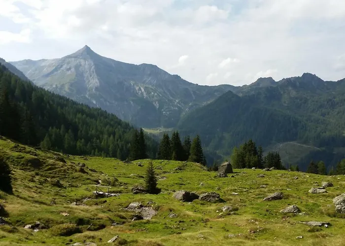 Reinbacher - Primps שלאדמינג