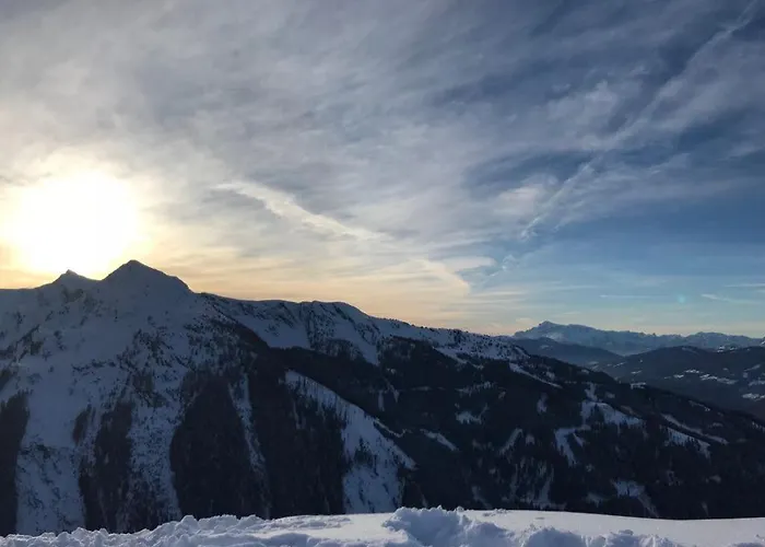 Reinbacher - Primps Lejlighed