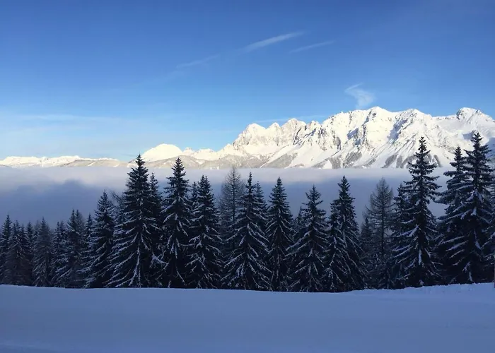 Reinbacher - Primps Lejlighed